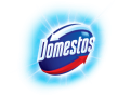 Domestos-Logo-on-White-Background-300x249-min